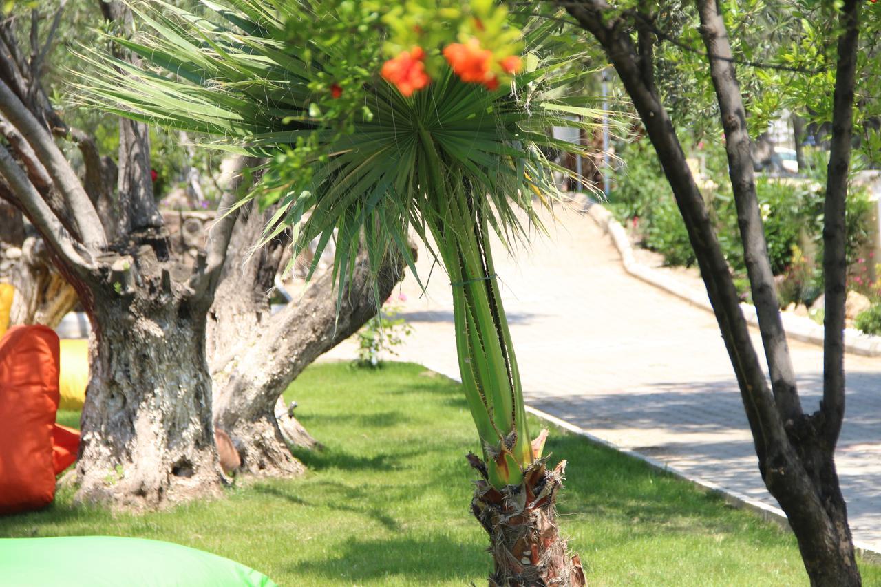 Kayalar Blue Beach Hotel Sazlı Exterior foto