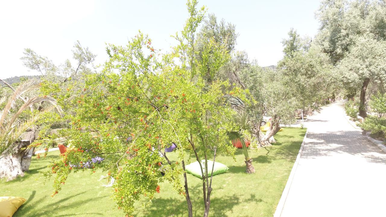 Kayalar Blue Beach Hotel Sazlı Exterior foto